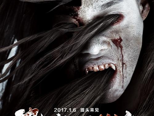 哪里可以办法国蓝带证书